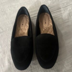 Birdies Black suede Women's Vesper Loafers